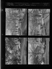 Sheppard Memorial Library (4 Negatives (January 1955) [Sleeve 2, Folder c, Box 8]